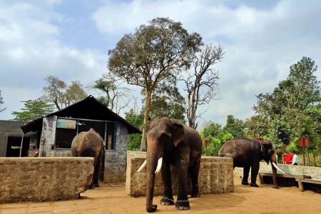 Tourist attraction in Coorg - Taxi Mangaluru